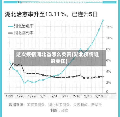 这次疫情湖北省怎么负责(湖北疫情谁的责任)-第2张图片