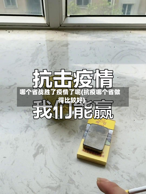 哪个省战胜了疫情了呢(抗疫哪个省做得比较好)-第3张图片