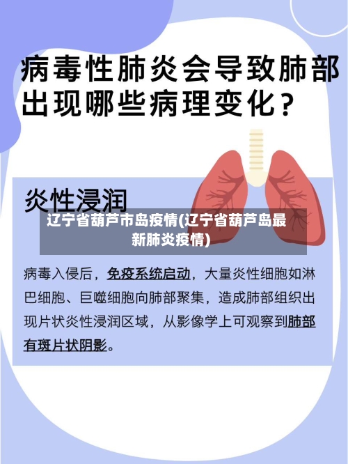辽宁省葫芦市岛疫情(辽宁省葫芦岛最新肺炎疫情)-第1张图片