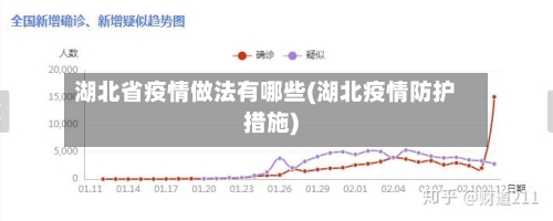 湖北省疫情做法有哪些(湖北疫情防护措施)-第1张图片