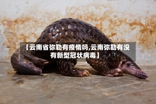 【云南省弥勒有疫情吗,云南弥勒有没有新型冠状病毒】-第1张图片