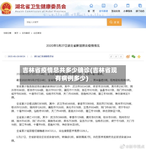吉林省疫情总共多少确诊(吉林省现有病例多少)-第1张图片