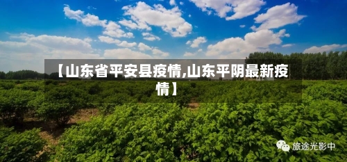 【山东省平安县疫情,山东平阴最新疫情】-第3张图片