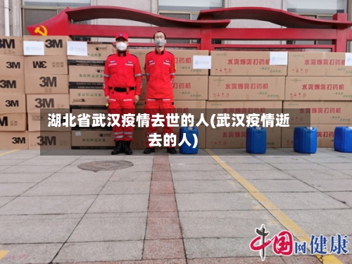 湖北省武汉疫情去世的人(武汉疫情逝去的人)-第1张图片