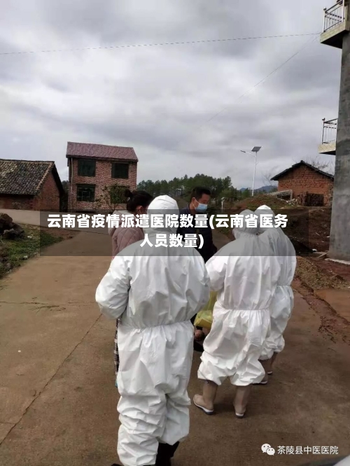 云南省疫情派遣医院数量(云南省医务人员数量)-第3张图片