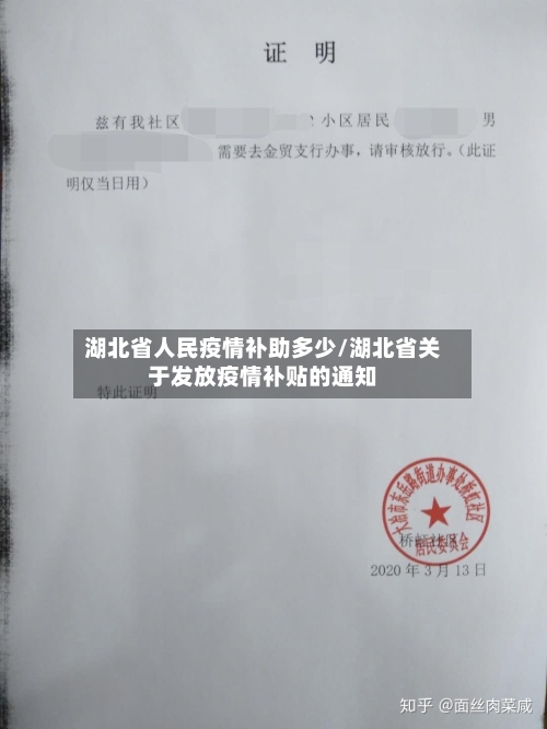 湖北省人民疫情补助多少/湖北省关于发放疫情补贴的通知-第1张图片