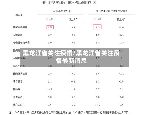 黑龙江省关注疫情/黑龙江省关注疫情最新消息-第3张图片