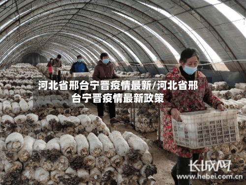 河北省邢台宁晋疫情最新/河北省邢台宁晋疫情最新政策-第1张图片