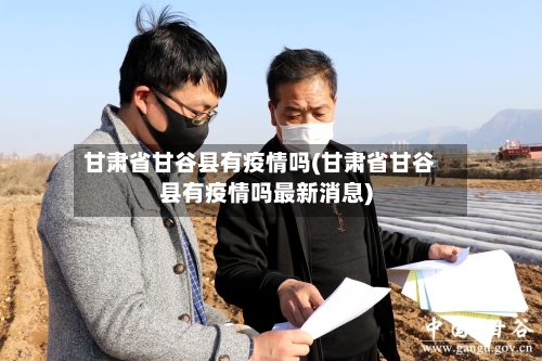 甘肃省甘谷县有疫情吗(甘肃省甘谷县有疫情吗最新消息)-第3张图片