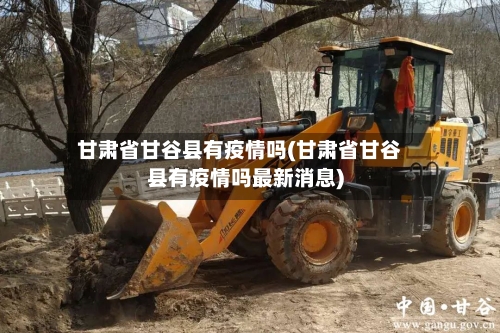 甘肃省甘谷县有疫情吗(甘肃省甘谷县有疫情吗最新消息)-第1张图片