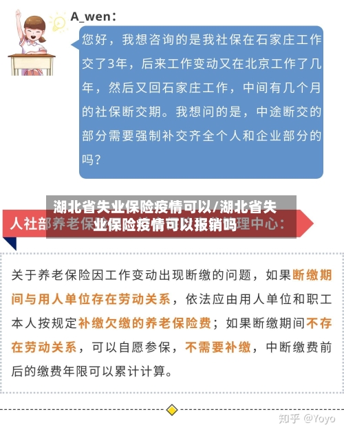 湖北省失业保险疫情可以/湖北省失业保险疫情可以报销吗-第1张图片