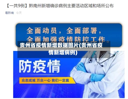 贵州省疫情新增数据图片(贵州省疫情新增病例)-第3张图片