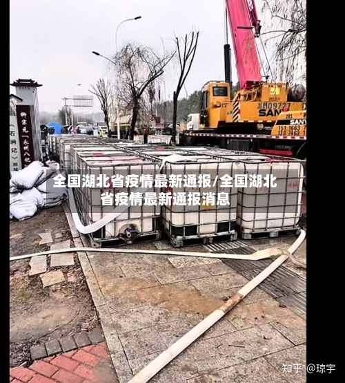 全国湖北省疫情最新通报/全国湖北省疫情最新通报消息-第2张图片
