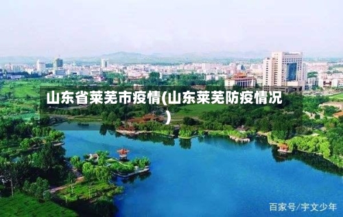 山东省莱芜市疫情(山东莱芜防疫情况)-第2张图片