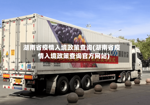 湖南省疫情入境政策查询(湖南省疫情入境政策查询官方网站)-第3张图片