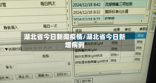 湖北省今日新闻疫情/湖北省今日新增病例-第3张图片
