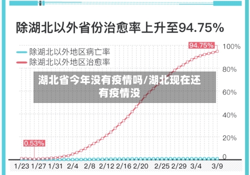 湖北省今年没有疫情吗/湖北现在还有疫情没-第1张图片