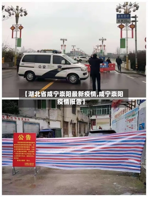 【湖北省咸宁崇阳最新疫情,咸宁崇阳疫情报告】-第2张图片