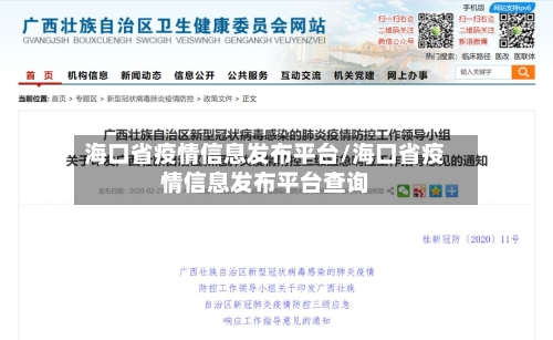 海口省疫情信息发布平台/海口省疫情信息发布平台查询-第2张图片