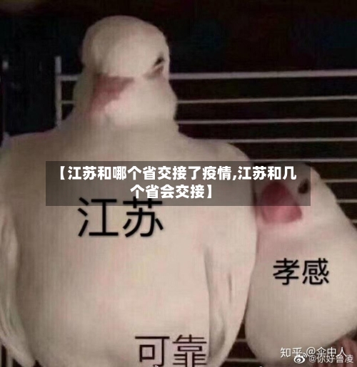 【江苏和哪个省交接了疫情,江苏和几个省会交接】-第3张图片