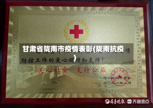 甘肃省陇南市疫情表彰(陇南抗疫)-第2张图片