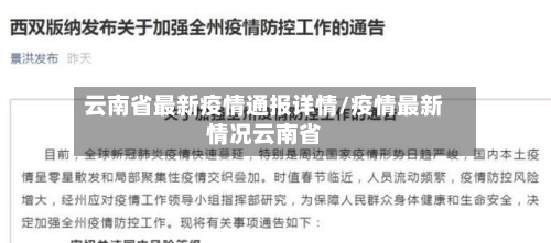 云南省最新疫情通报详情/疫情最新情况云南省-第2张图片